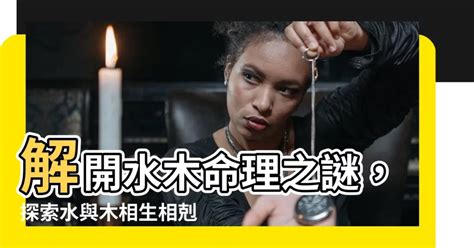 水 木 行業|探索水木工作的奧秘：與自然共舞的職業選擇 – 木工裝潢大聯盟